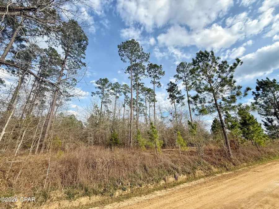 00 Palmview Lane, Cottondale, FL 32431 - #3