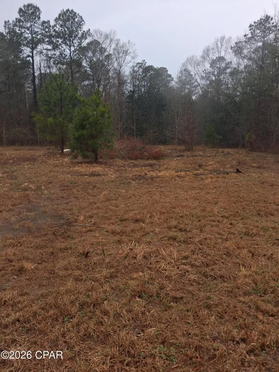 2114 Miller Lane, Chipley, FL 32428 - #3