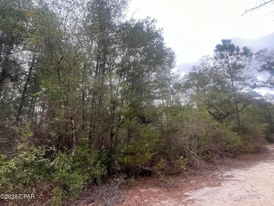 TBD Leisure Lane, Holt, FL 32564 - #3