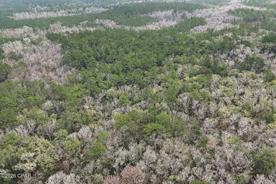 00 Clemmons Rd Road, Bonifay, FL 32425 - #2