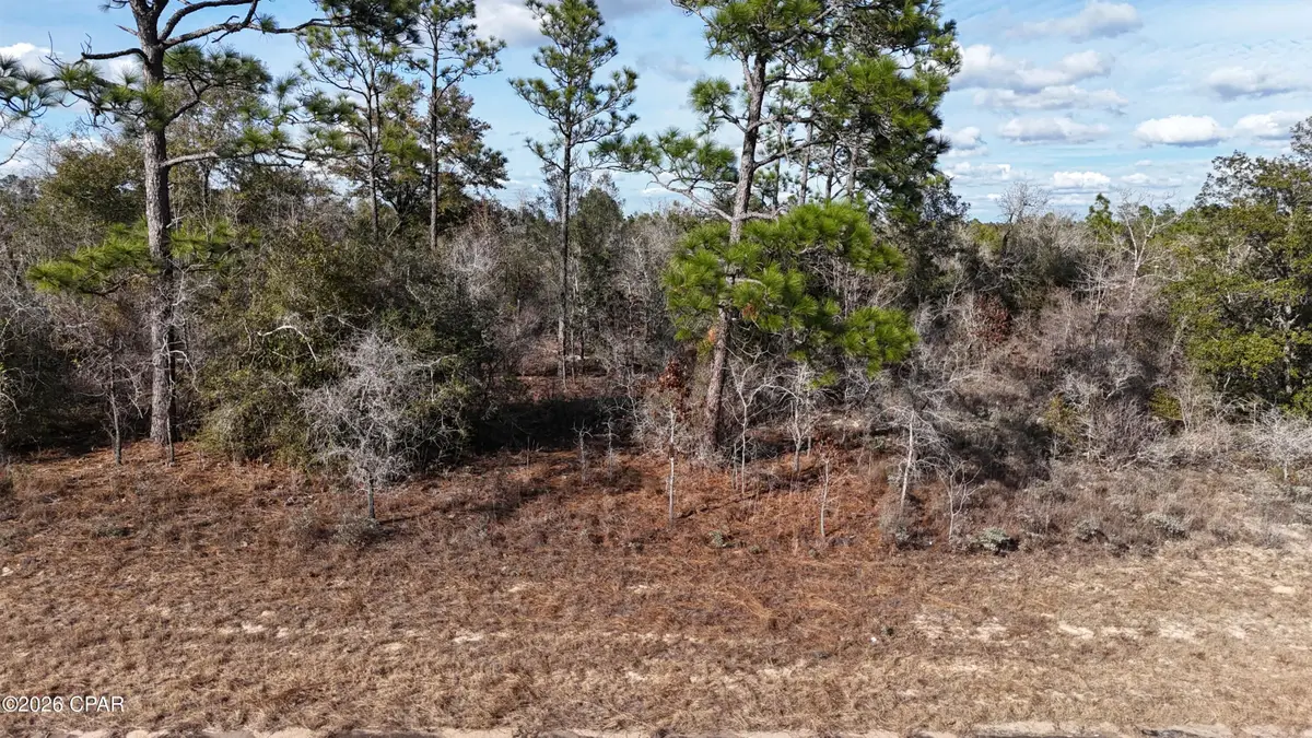 00 Bluestone Drive, Chipley, FL 32428 - #1