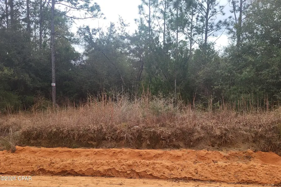 00 Chason Road, Marianna, FL 32448 - #2