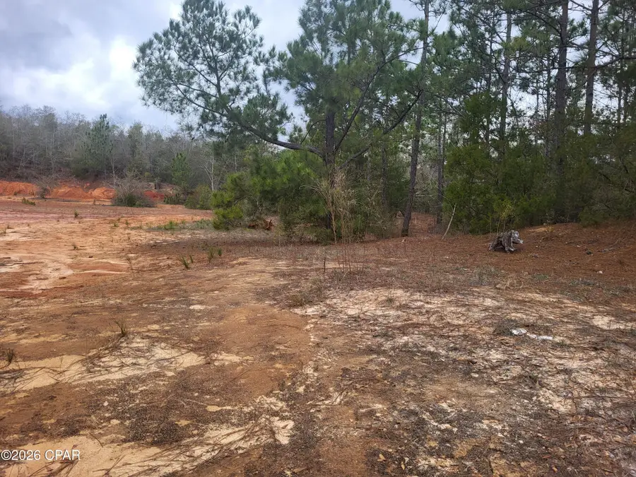 00 Chason Road, Marianna, FL 32448 - #3