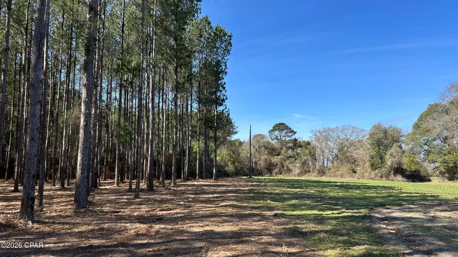 0 0 Grimes Road #Lot 1, Laurel Hill, FL 32567 - #3