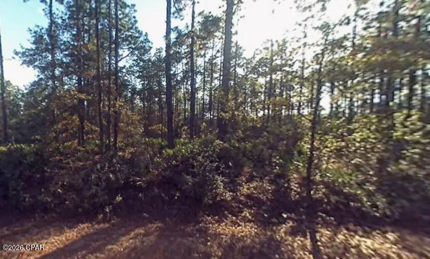 0 Hibiscus Street, Fountain, FL 32438 - #2