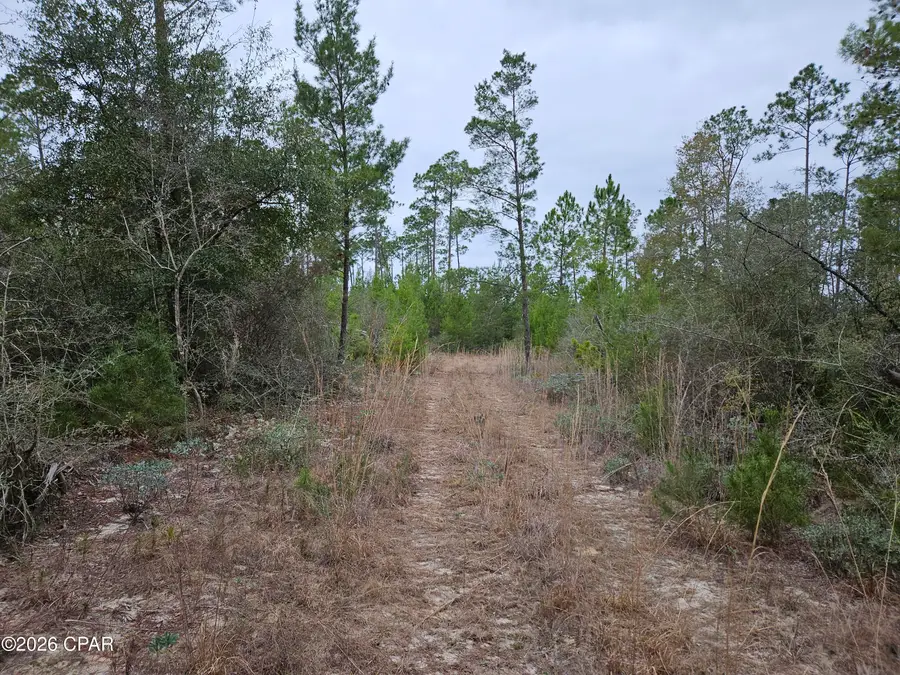 0000 Singer, Youngstown, FL 32466 - #2