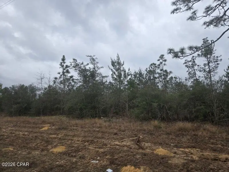 0000 NW Cr 274, Altha, FL 32421 - #1