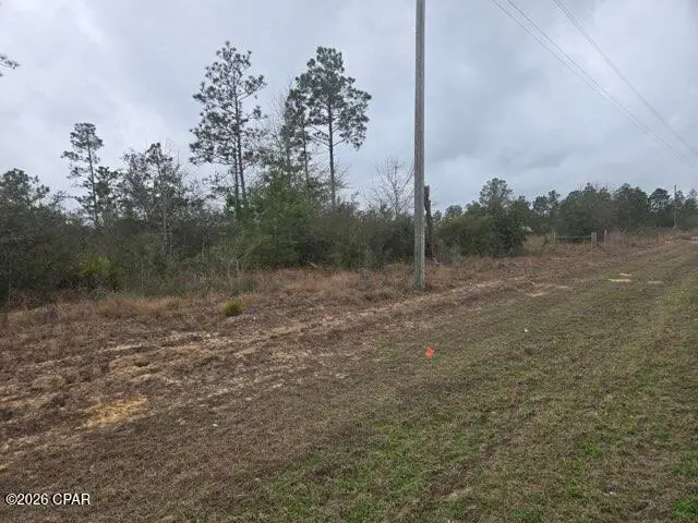 0000 NW Cr 274, Altha, FL 32421 - #3