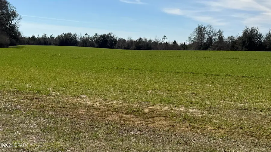 3790 Kynesville Road, Marianna, FL 32448 - #2