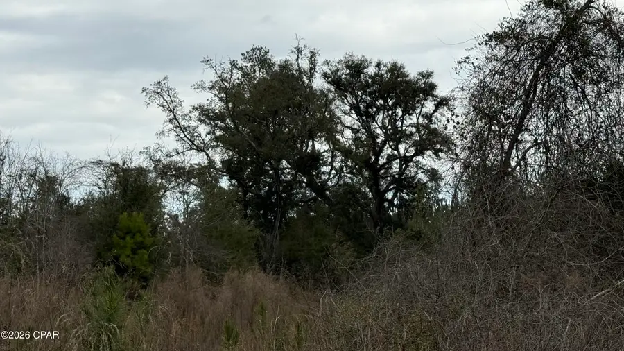 0000 Christmas Road, Campbellton, FL 32426 - #3