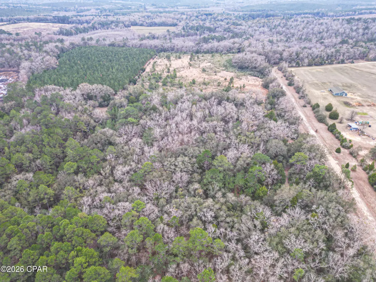 0000 Stanley Road, Westville, FL 32464 - #1