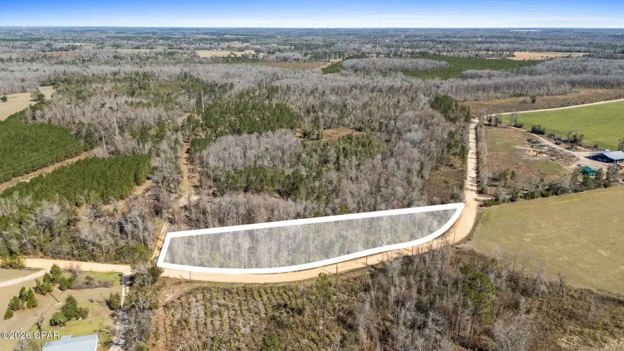 0 Swaills Road, Alford, FL 32420 - #2