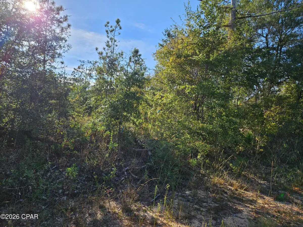 0000 Derby Drive, Chipley, FL 32428 - #1