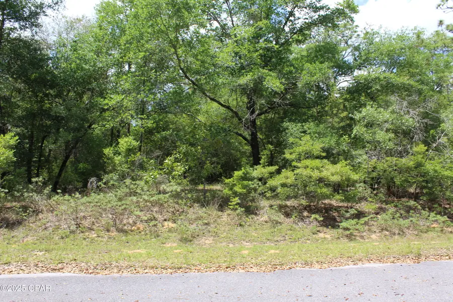 Lot 2 Village Drive, Chipley, FL 32428 - #2