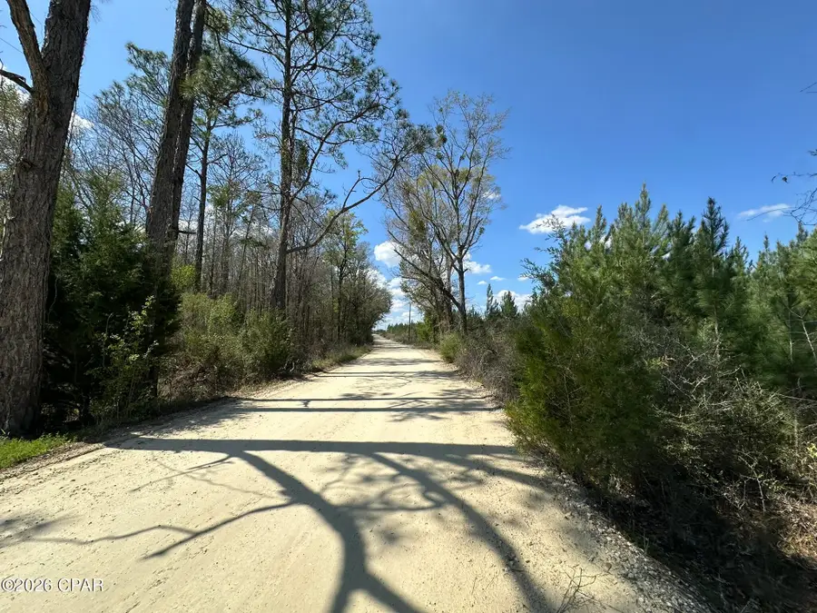 Tract 6336 Sand Path Road, Bonifay, FL 32425 - #3