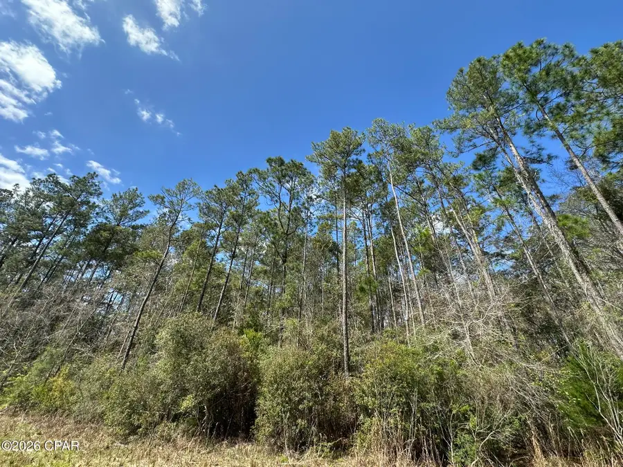 Tract#6409 Davis Road River Road, Caryville, FL 32427 - #3