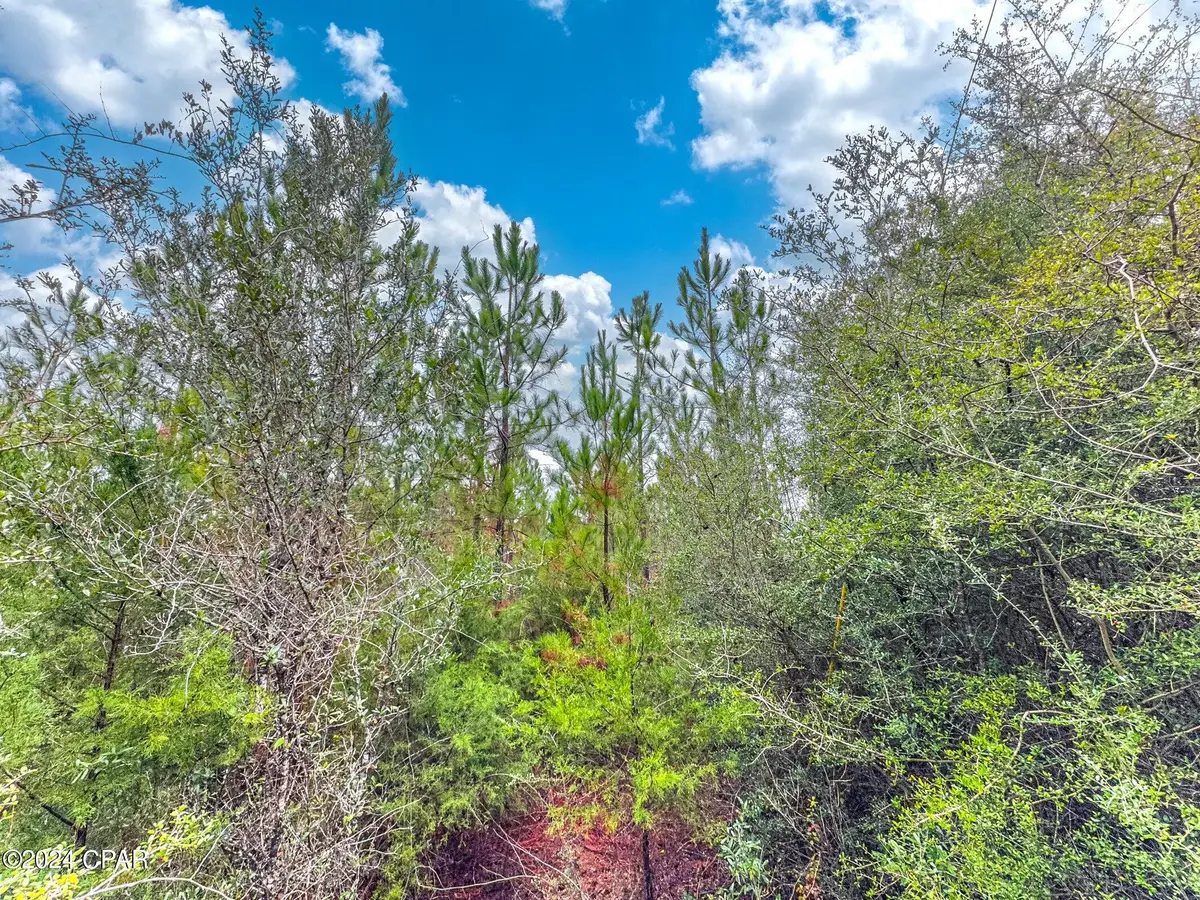 Tract 6418 N Union Hill Road #Bryant bay, Caryville, FL 32427 - #1