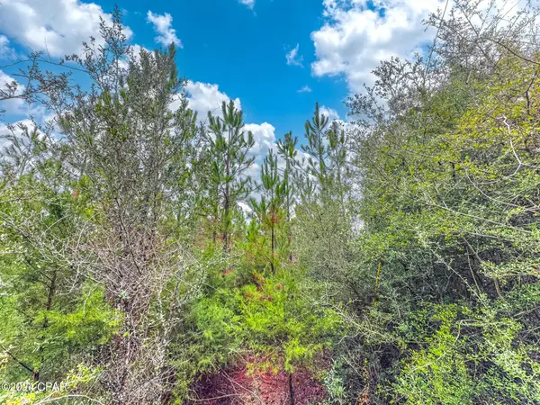 Tract 6418 N Union Hill Road #Bryant bay, Caryville, FL 32427