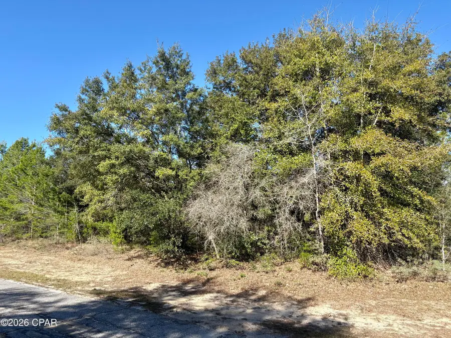 Lot 1 Falcon Drive, Chipley, FL 32428 - #3