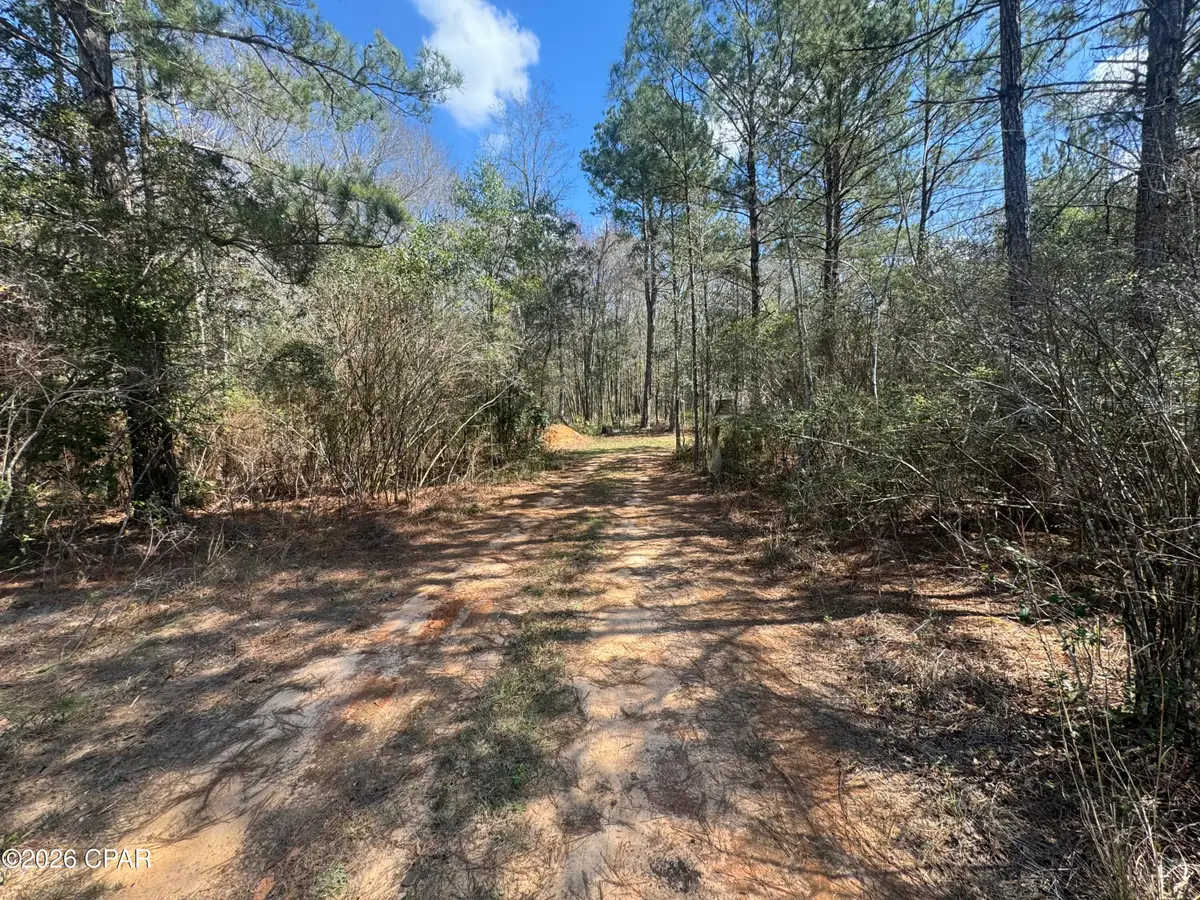 1285 Hwy 179a, Westville, FL 32464 - #1