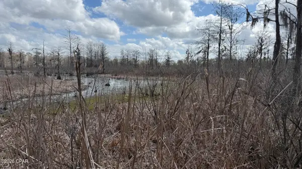 000 Neel Road, Grand Ridge, FL 32442