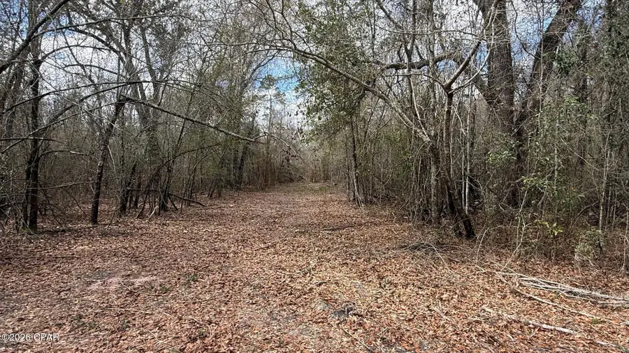 000 Neel Road, Grand Ridge, FL 32442 - #3