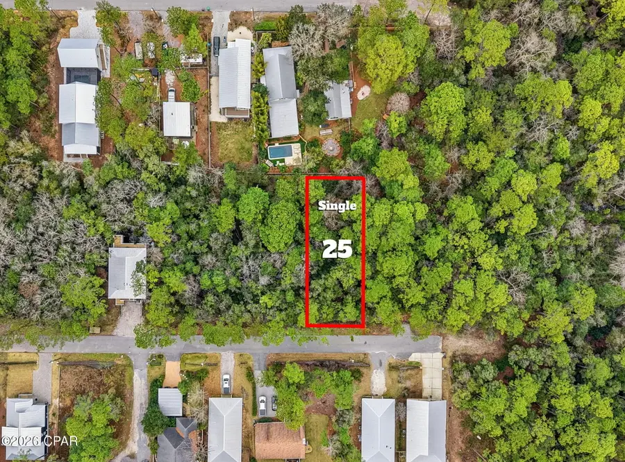 25 E Wild Blueberry Way #Lot 25, Santa Rosa Beach, FL 32459 - #3