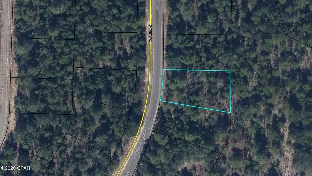 Lot 9 Antilles Avenue, Chipley, FL 32428 - #1