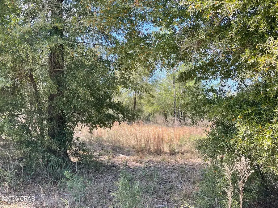 0 Speights Way, Bascom, FL 32423 - #2