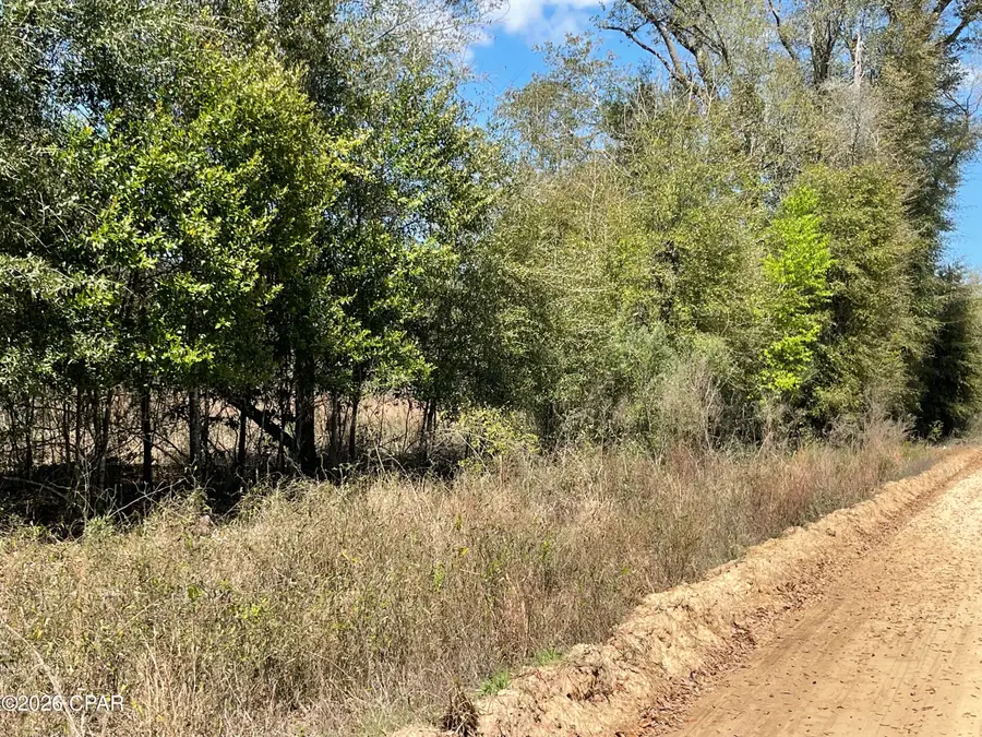 0 Speights Way, Bascom, FL 32423 - #3