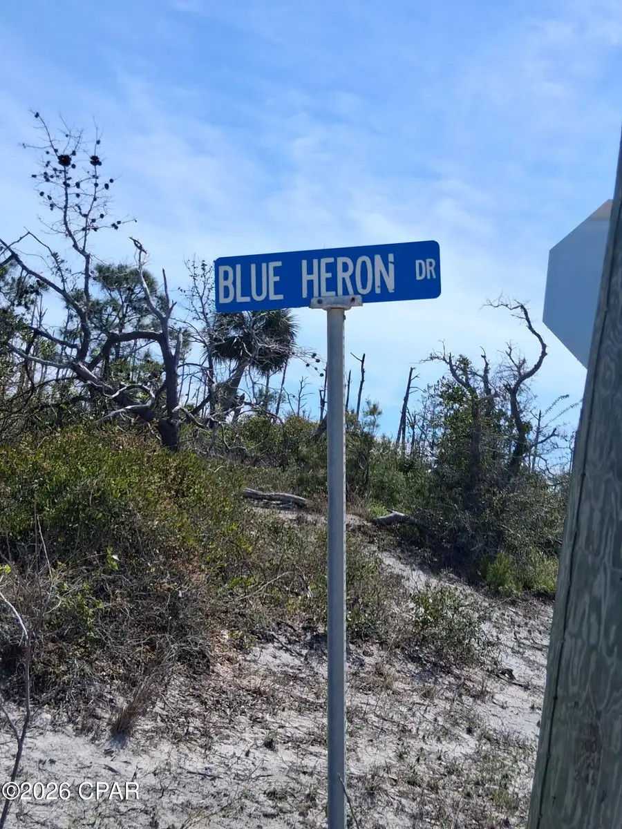 332 Blue Heron Drive, Port Saint Joe, FL 32456 - #2
