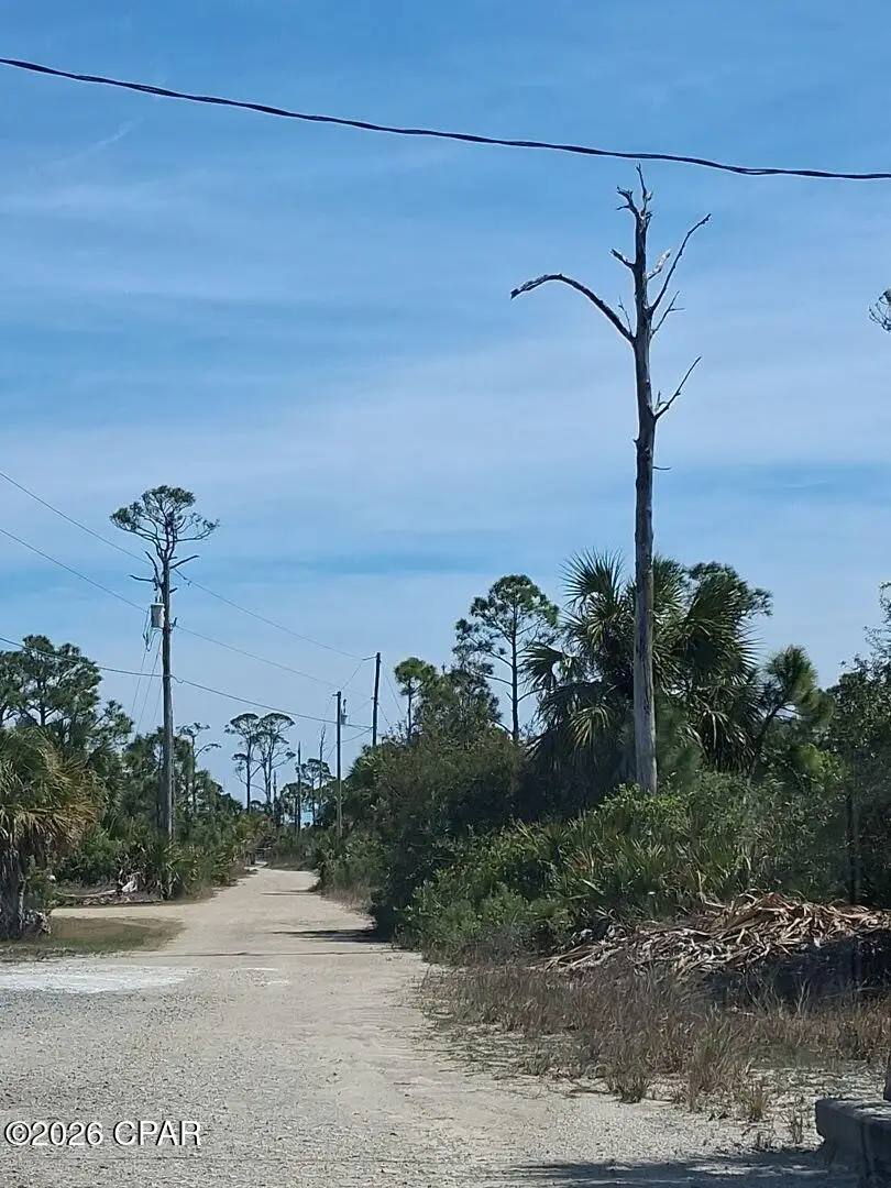 332 Blue Heron Drive, Port Saint Joe, FL 32456 - #3
