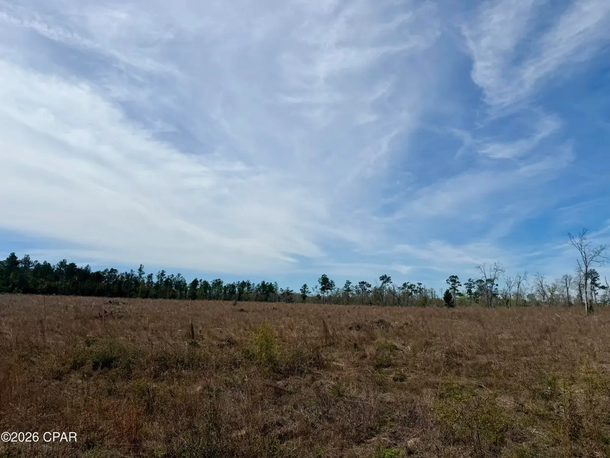 23 acres Davenport Road, Marianna, FL 32448 - #1