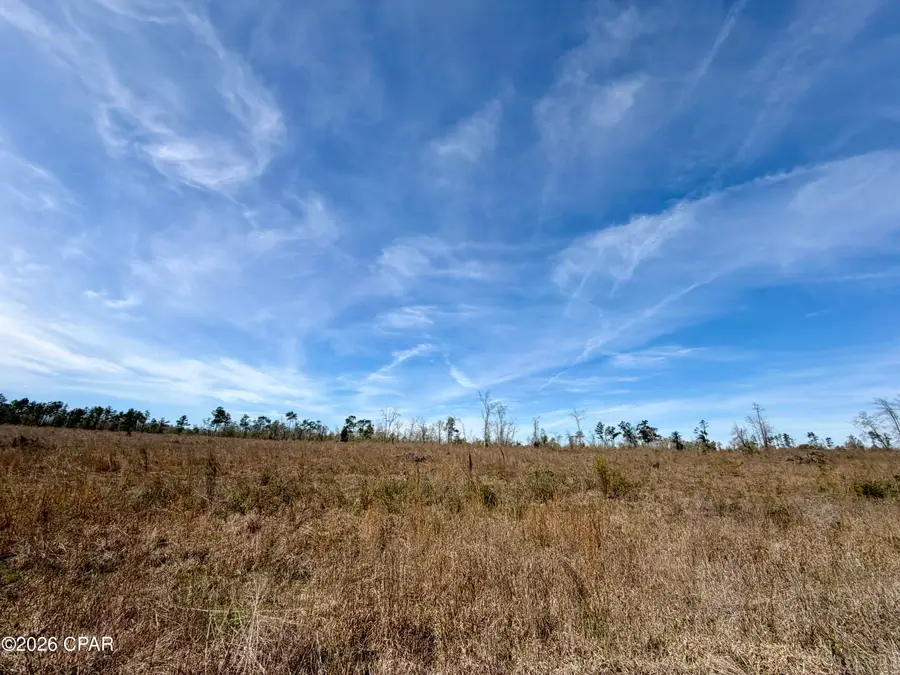 23 acres Davenport Road, Marianna, FL 32448 - #2