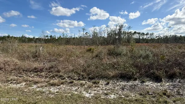 21703 Beech Valley Valley, Altha, FL 32421