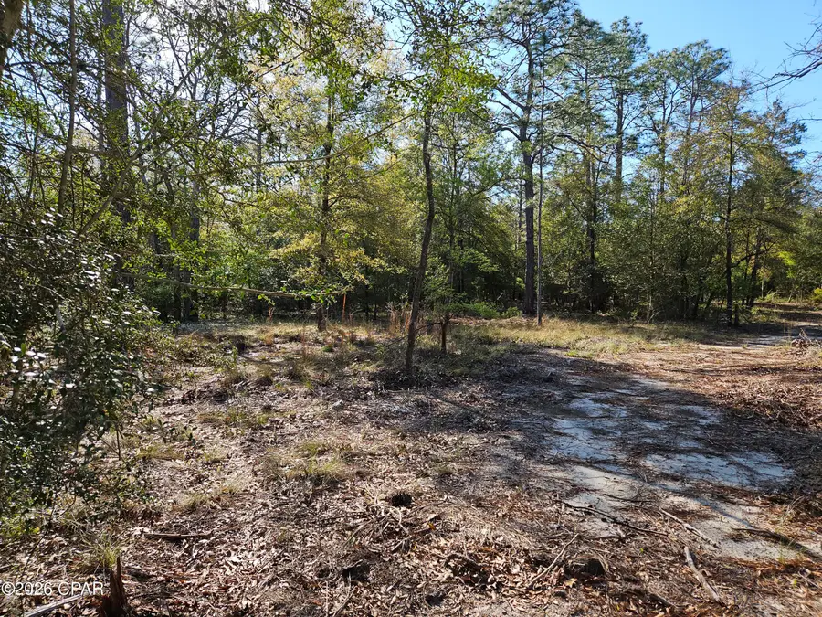 000 Preakness Place, Chipley, FL 32428 - #2