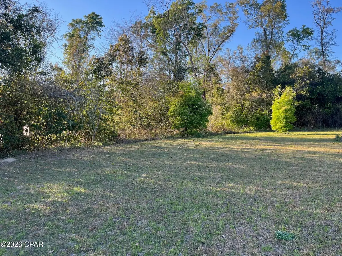 00 Main Street, Grand Ridge, FL 32442 - #1