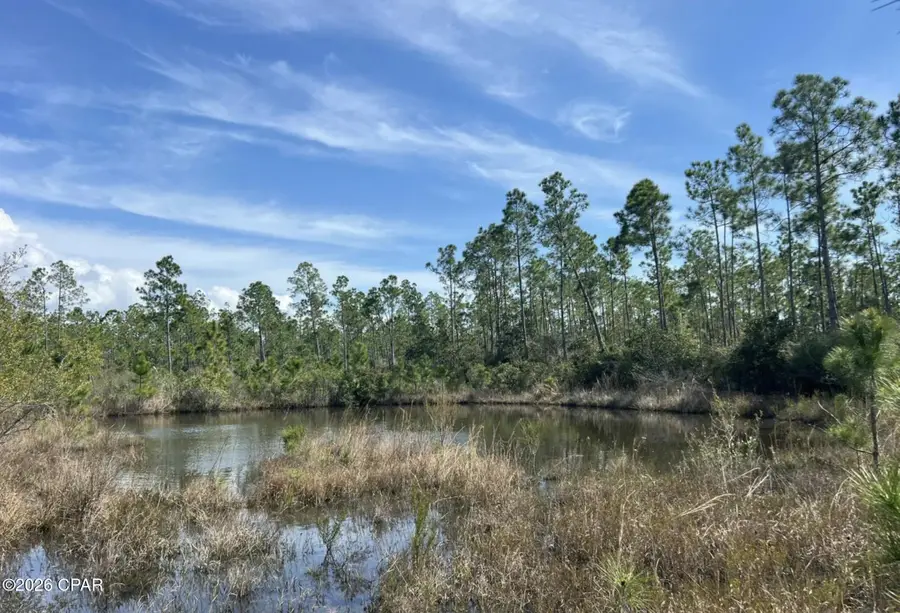 12816 Piercy Road, Panama City, FL 32404 - #3