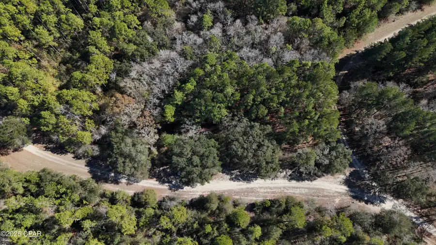 00 Canopy Oak Blvd, Bonifay, FL 32425 - #2