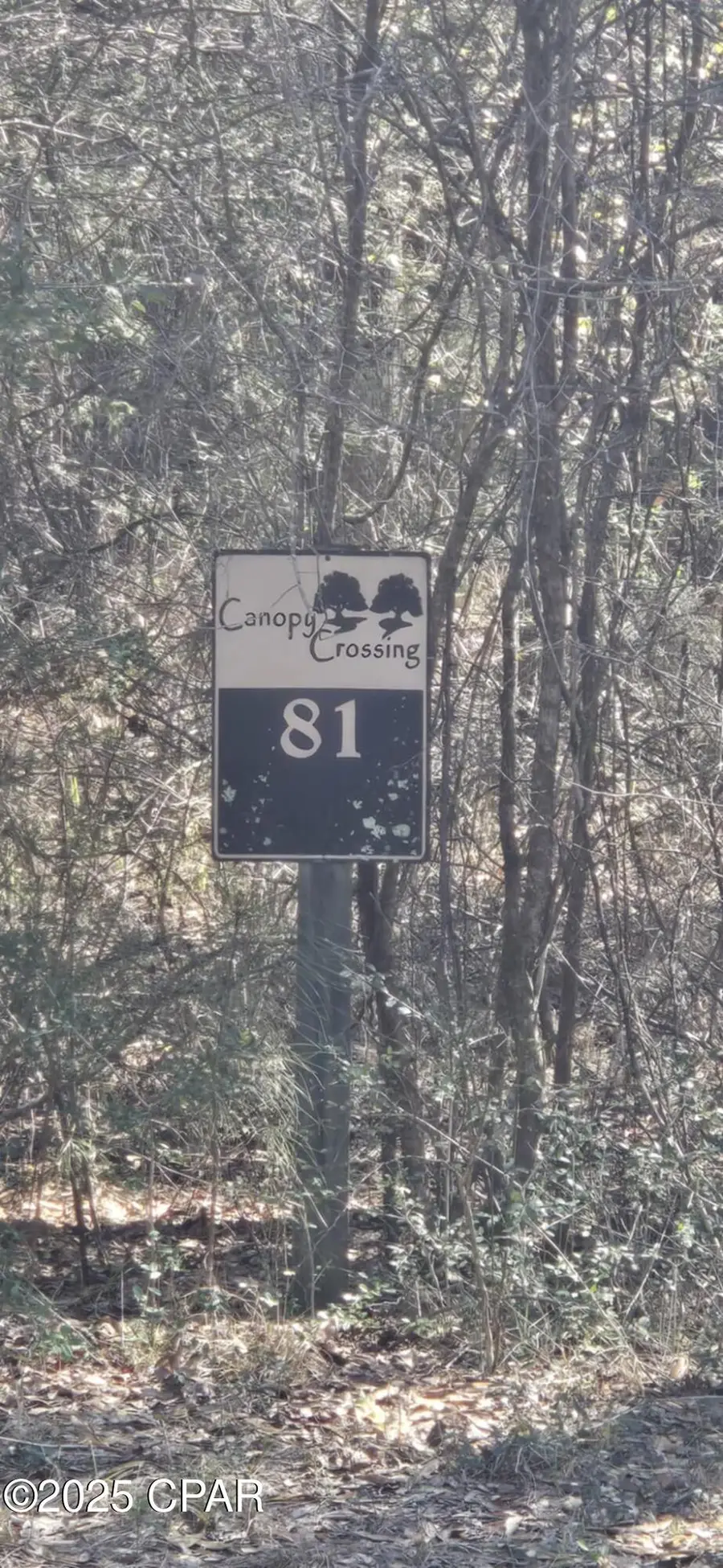 00 Canopy Oak Blvd, Bonifay, FL 32425 - #3