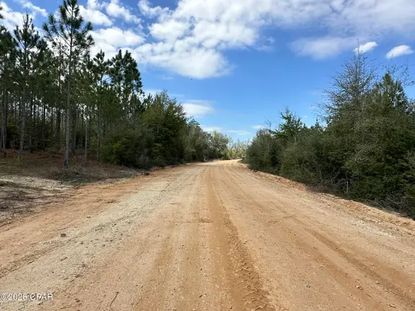 Tract#6418 Mattox Springs Road #S2, Caryville, FL 32427