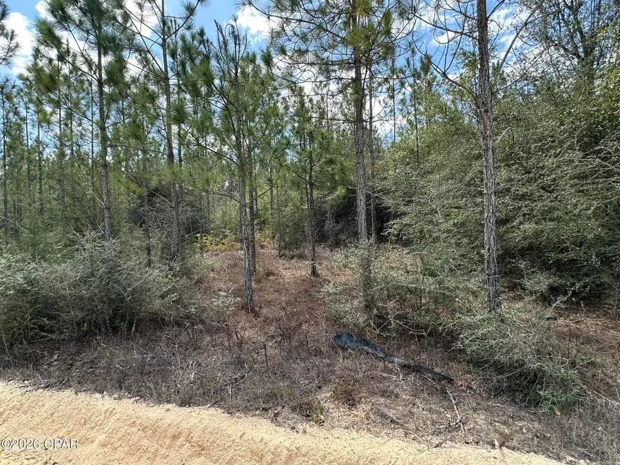 Tract#6418 Mattox Springs Road #S2, Caryville, FL 32427 - #3