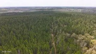 Tract#6418 Mattox Springs Road #S3, Caryville, FL 32427 - #1