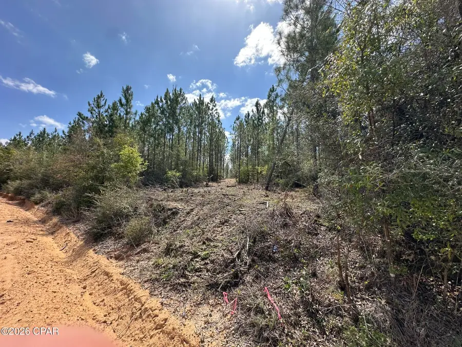 Tract#6418 Mattox Springs Road #S3, Caryville, FL 32427 - #2