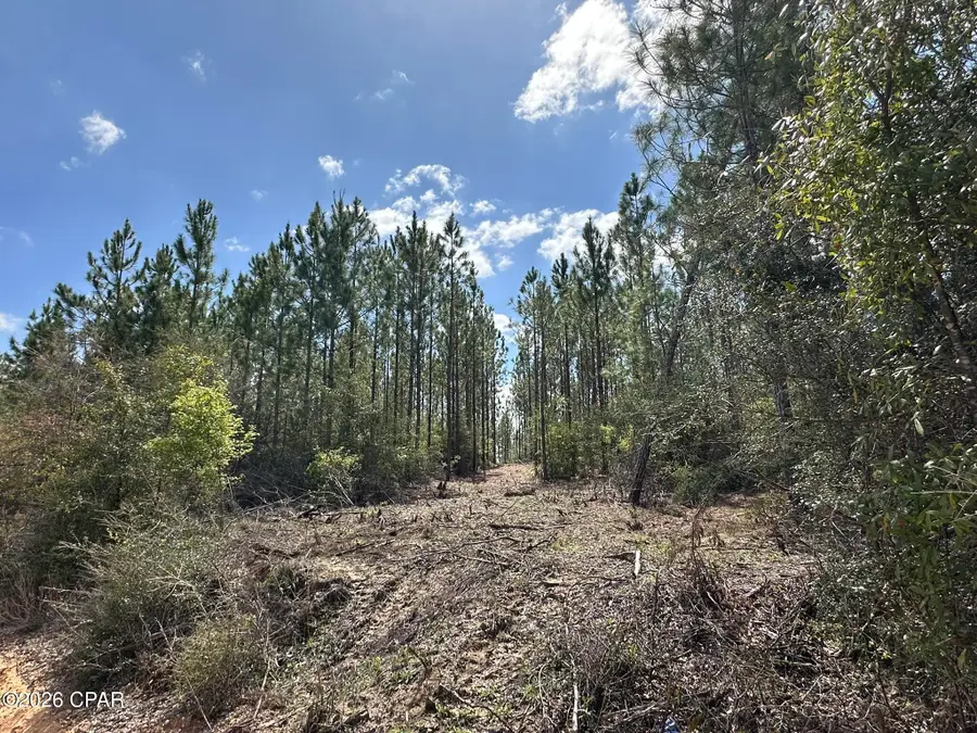 Tract#6418 Mattox Springs Road #S3, Caryville, FL 32427 - #3