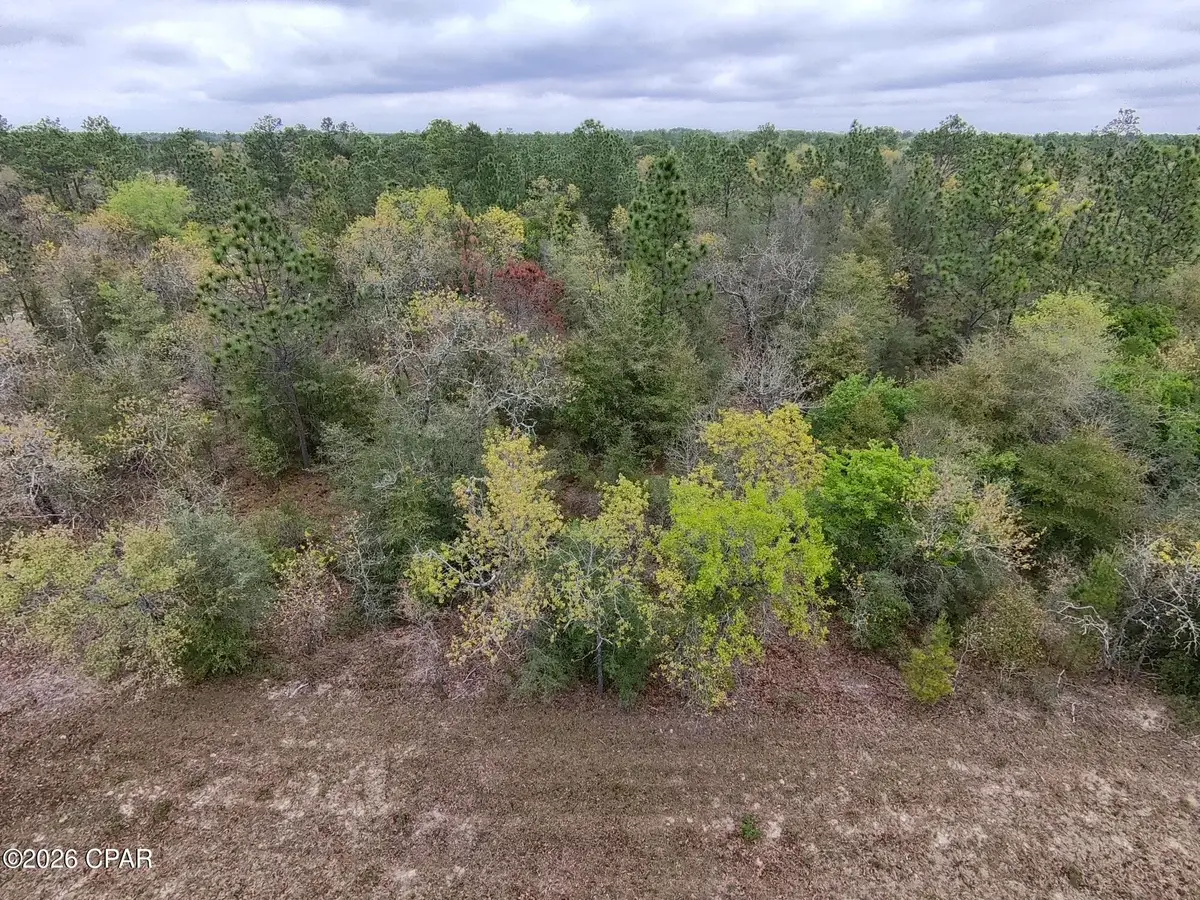 LOT 5 Weller Street, Chipley, FL 32428 - #1