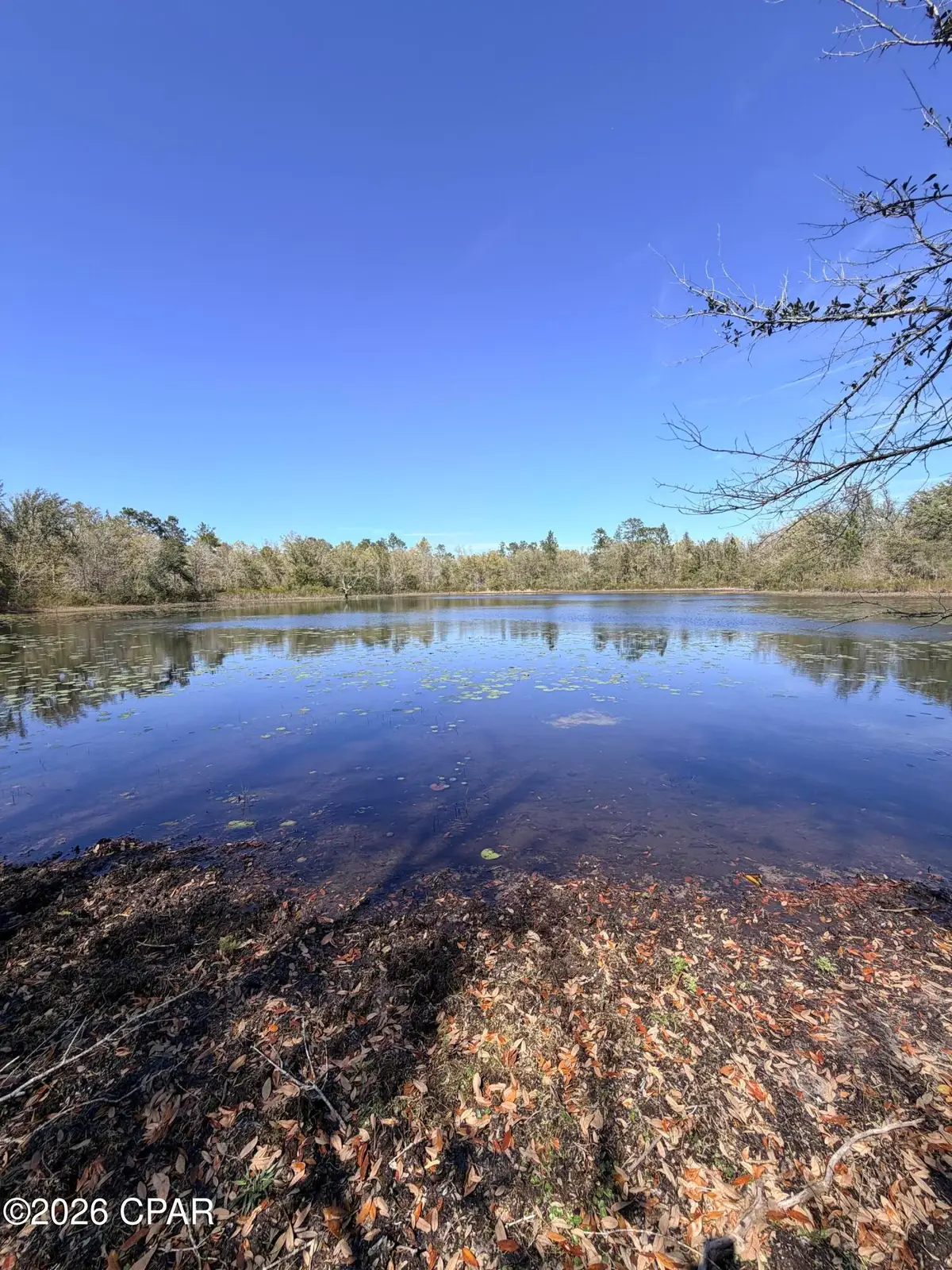 0 Yarborough Road, Sneads, FL 32460 - #1