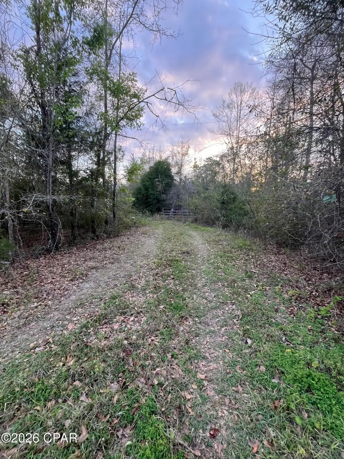 5372 Sonic Drive, Marianna, FL 32448 - #1