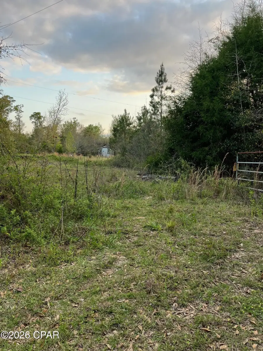 5372 Sonic Drive, Marianna, FL 32448 - #2