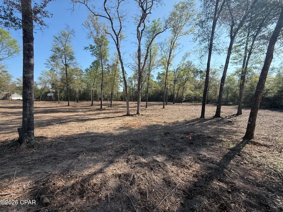 TBD Silver Lake N, Marianna, FL 32448 - #2